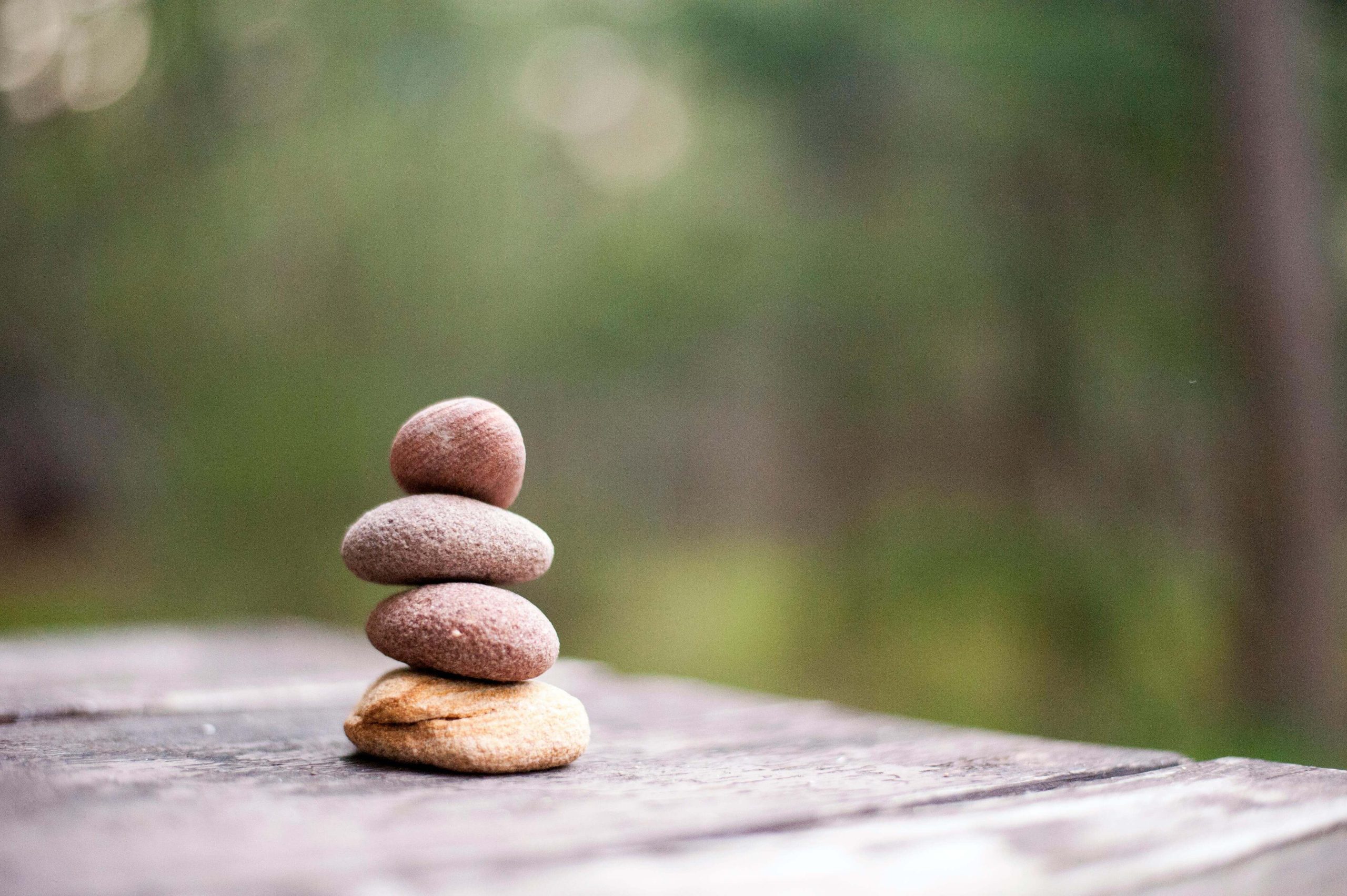 Program Topics Mindfulness Meditation & Wellbeing